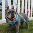 Load image into Gallery viewer, Frenchie Comfort Leash - Waikiki