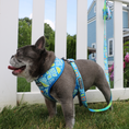 Load image into Gallery viewer, Frenchie Duo Reversible Harness - Waikiki