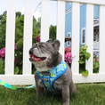 Load image into Gallery viewer, Frenchie Duo Reversible Harness - Waikiki