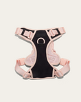 Load image into Gallery viewer, Wander! Bow Harness Ballerina