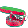 Load image into Gallery viewer, EcoBark Watermelon Dog Leash- Padded Comfort Grip Leash - 4ft, 5ft, and 6ft Leash for Small and Medium Dogs