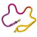 Load image into Gallery viewer, Roxy Rope Dog Leash