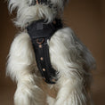 Load image into Gallery viewer, DOGISTRY The NoMad Adjustable Luxe Harness - Rockstar