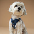 Load image into Gallery viewer, DOGISTRY SoHo Dog Harness - Denim