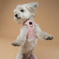 Load image into Gallery viewer, DOGISTRY SoHo Dog Harness - Sweetheart