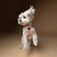 Load image into Gallery viewer, DOGISTRY SoHo Dog Harness - Blush Pink