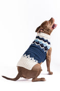 Load image into Gallery viewer, Midnight Ski Bum Dog Sweater
