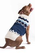 Load image into Gallery viewer, Midnight Ski Bum Dog Sweater