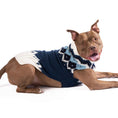 Load image into Gallery viewer, Midnight Ski Bum Dog Sweater