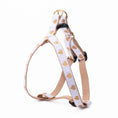 Load image into Gallery viewer, Up Country White Heart of Gold Dog Cast Brass Dog Harness