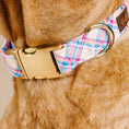 Load image into Gallery viewer, Whitley Dog Collar