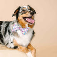 Load image into Gallery viewer, Whitley Dog Babe Bow