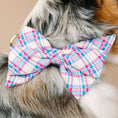 Load image into Gallery viewer, Whitley Dog Babe Bow