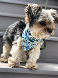 Load image into Gallery viewer, Wild Rose Metallic Dog Bandana