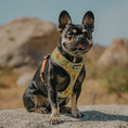 Load image into Gallery viewer, Wild Thing Reversible Harness - Southlake Paws
