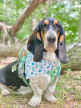 Load image into Gallery viewer, Wild and Free Camping Bandana