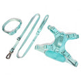 Load image into Gallery viewer, Wolfdoge Signature Leash - Southlake Paws
