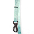 Load image into Gallery viewer, Wolfdoge Signature Leash - Southlake Paws