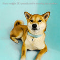 Load image into Gallery viewer, Waterproof Collar - Southlake Paws