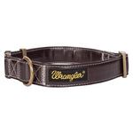 Wrangler® Faux Leather Collar with Gold Buckle Dark Brown