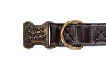 Wrangler® Faux Leather Collar with Gold Buckle Dark Brown