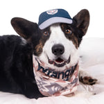 Wrangler® Graphic Baseball Cap – Navy