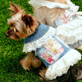 Load image into Gallery viewer, LovePackPuppy Vest