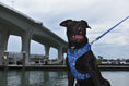 Load image into Gallery viewer, EcoBark Nautical Dog Leash-Padded Comfort Grip Leash - 5ft Leash for Small and Medium Dogs