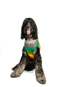 Load image into Gallery viewer, Rainbow Mohawk Dog Sweater