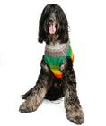 Load image into Gallery viewer, Rainbow Mohawk Dog Sweater