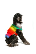 Load image into Gallery viewer, Rainbow Mohawk Dog Sweater