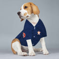 Load image into Gallery viewer, MLB Houston Astros Yordan Alvarez Mesh Dog Jersey