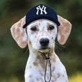 Load image into Gallery viewer, MLB New York Yankees Dog Hat