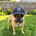 Load image into Gallery viewer, MLB New York Yankees Dog Hat
