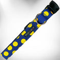 Load image into Gallery viewer, Polka Dot Dog Collars, Leads, and Bows on Blue - 5 Styles