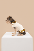 Load image into Gallery viewer, Fancy You Sweater - Southlake Paws