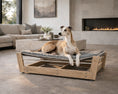 Load image into Gallery viewer, Yugen Pet Lounger