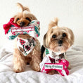 Load image into Gallery viewer, Holiday Bones | Christmas Dog Toys