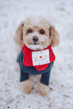 Love Note Reversible Handmade Bandana