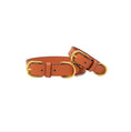 Load image into Gallery viewer, Ainsley Dog Collar