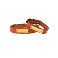 Load image into Gallery viewer, Ainsley Dog Collar