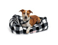Load image into Gallery viewer, Mink Relaxer Bed - Black & White