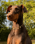 Load image into Gallery viewer, Amelia Necklace