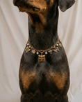 Load image into Gallery viewer, Amelia Necklace