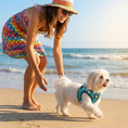 Load image into Gallery viewer, EcoBark Step In Dog Harness - XXXS to Small Breeds- Reflective Soft Mesh Harness for Teacup, Small Dogs and Puppies / Aqua Sport