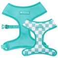 Load image into Gallery viewer, Frenchie Duo Reversible Harness - Aqua