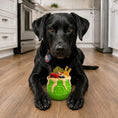 Load image into Gallery viewer, Honey Pot Dog eCup Treat Dispenser | Durable PUP-X Rubber Enrichment Toy | USA Made