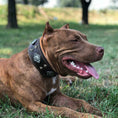 Load image into Gallery viewer, "Aztec" brown dog collar