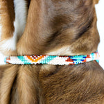 Aztec Sambboho dog collar (rolled)