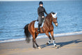 Load image into Gallery viewer, Southlake Paws Azurine Fly Hat worn by a rider on a brown horse at the beach, with ocean waves in the background.